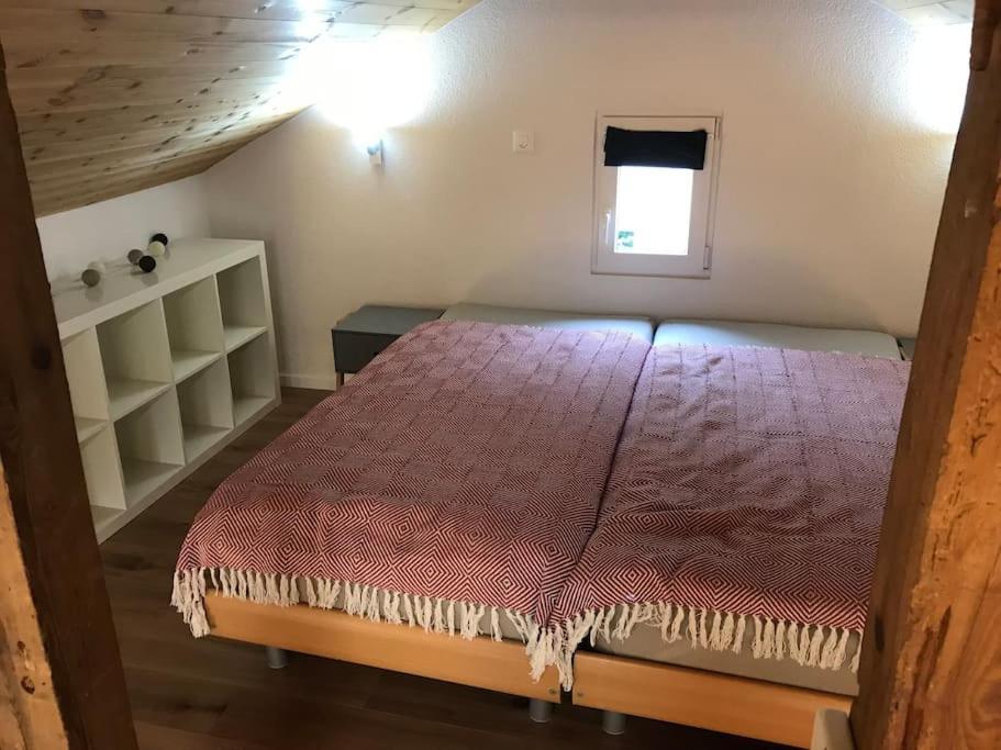 La Maisonnette : Charmante Maison Independante Salgesch Экстерьер фото